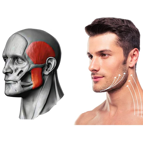 1 par Jawline Tough Bite